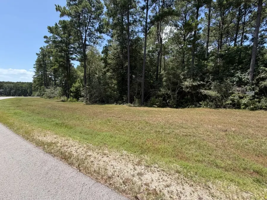 Lot 54 Grey Feather Road, Huntsville, TX 77340 - #3