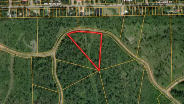 0000 Eagle Falls Boulevard, Trinity, TX 75862