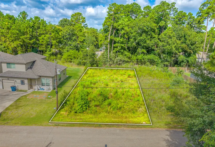 15727 Cottonwood Drive, Montgomery, TX 77356 - #2