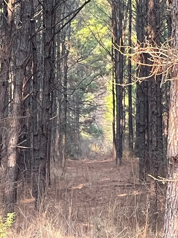 NA Kickapoo Road, Groveton, TX 75845