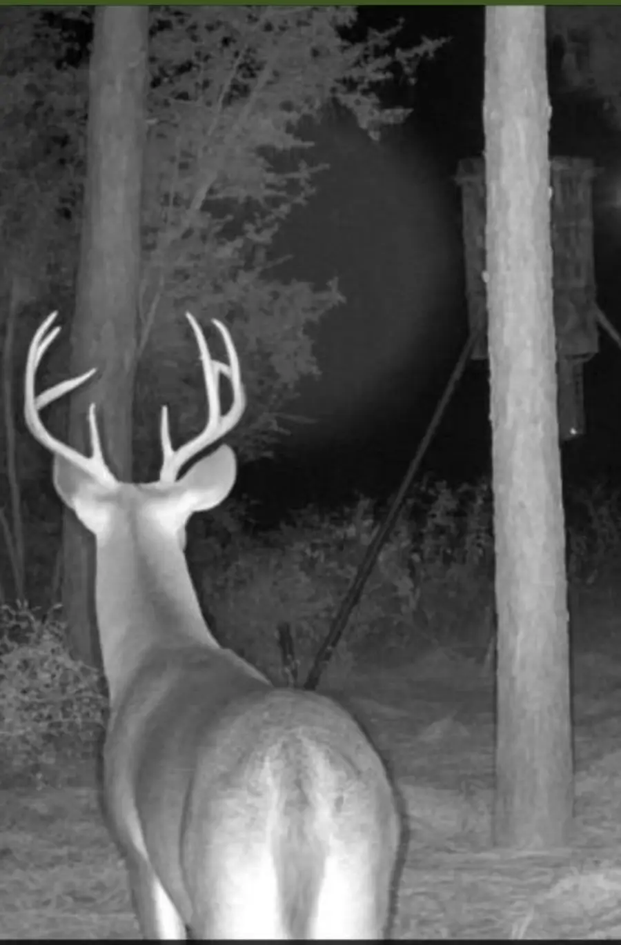 NA Kickapoo Road, Groveton, TX 75845 - #2