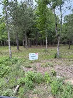 139778 Capital Creek Ranch Boulevard, Willis, TX 77378