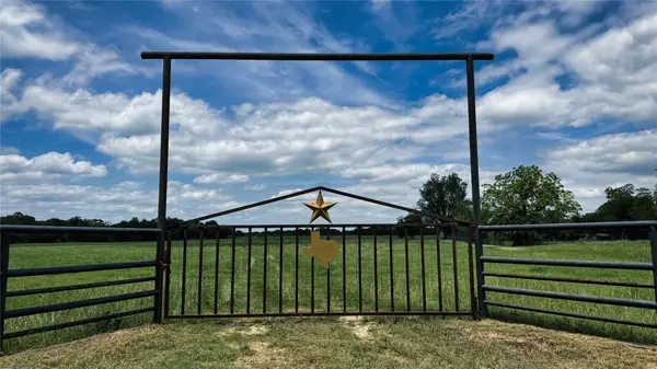 TBD County Road 317, Rockdale, TX 76567