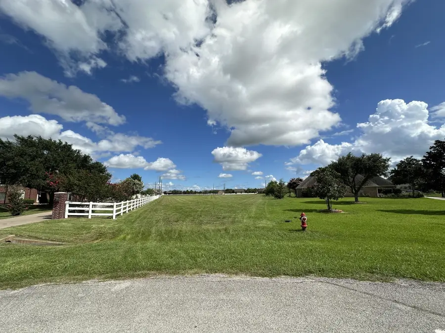 9918 S Bridlewood Court, Richmond, TX 77469 - #2