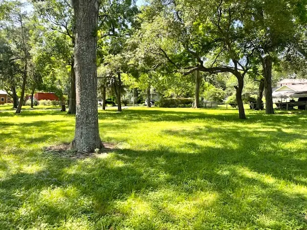 0 Gresham Street, Wallis, TX 77485 - Image #1