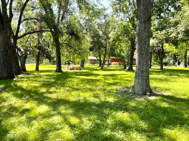 0 Gresham Street, Wallis, TX 77485 - Image #2