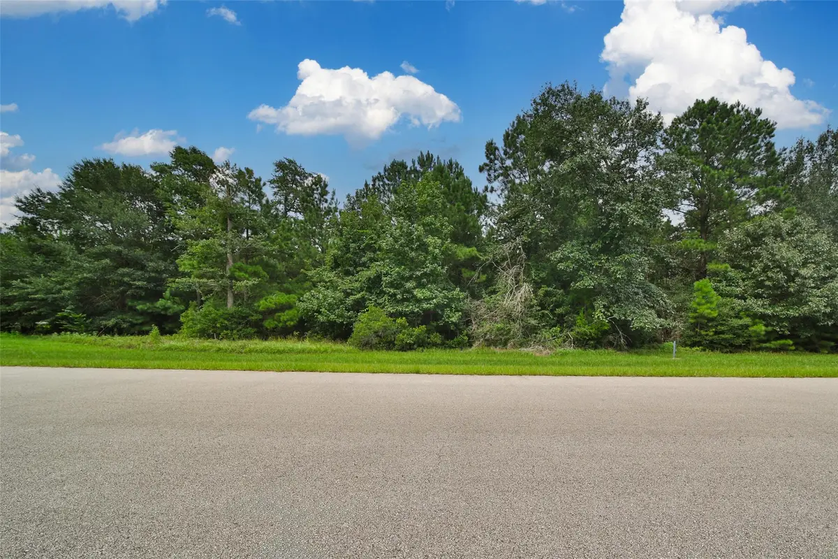 26180 Enzos Way, Montgomery, TX 77316 - Image #1