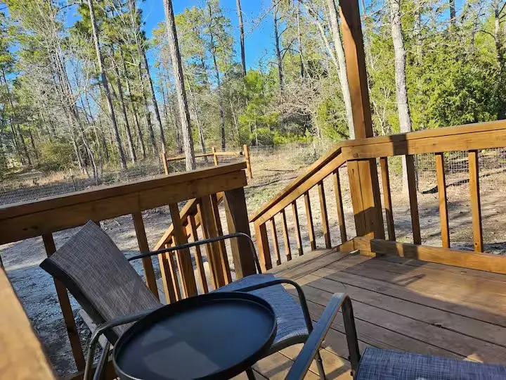 105 Saddle Surrey Road, Coldspring, TX 77331 - #3