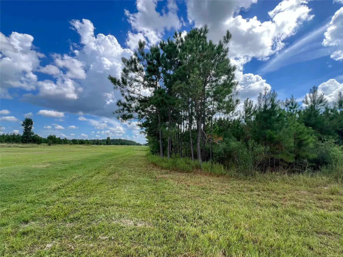 T-22B State Highway 94, Groveton, TX 75845 - #1