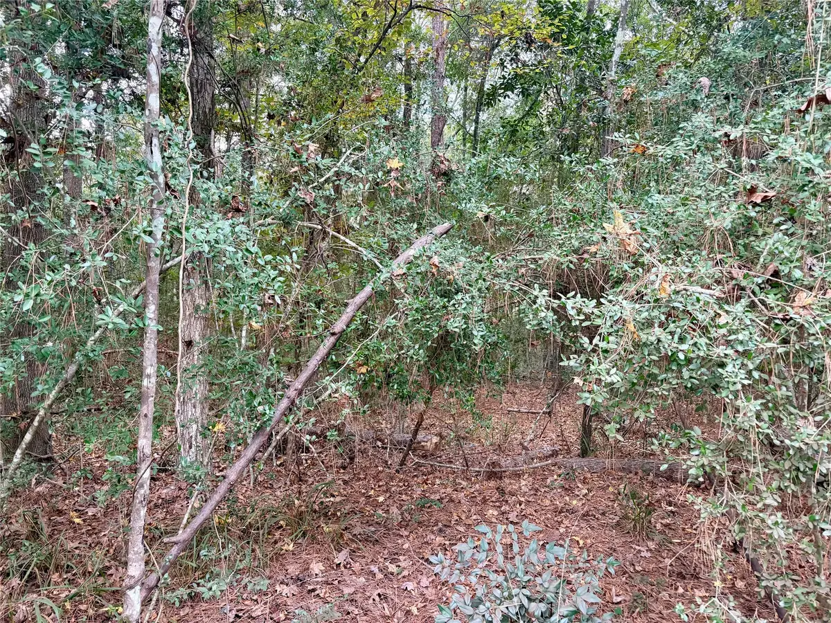 TBD Magnolia Duke Drive, Livingston, TX 77351 - Image #1