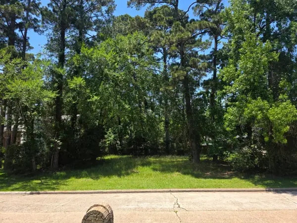 3303 Hemingway Drive, Montgomery, TX 77356