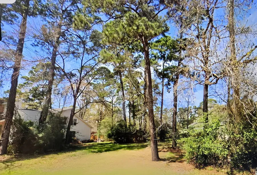3303 Hemingway Drive, Montgomery, TX 77356 - #2