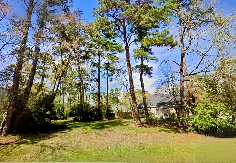 3303 Hemingway Drive, Montgomery, TX 77356 - #3