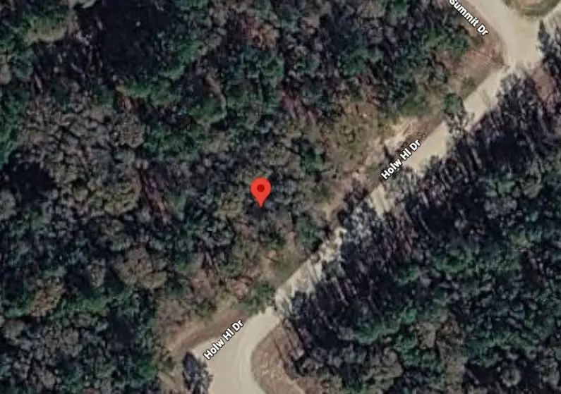 159 Hollow Hill Drive, New Waverly, TX 77358 - #1