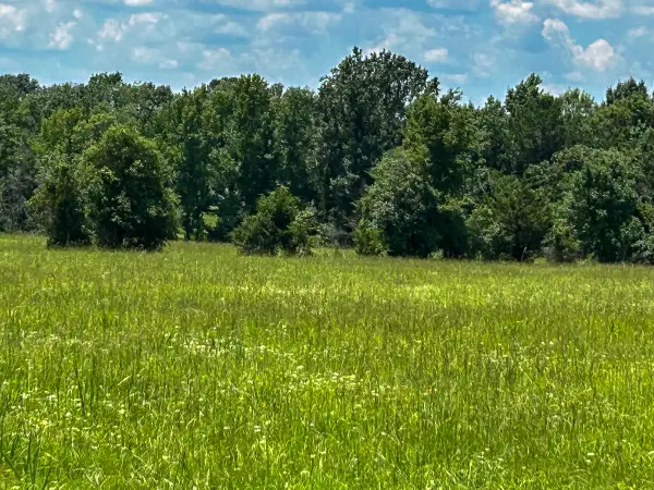 3 Highway 7 West, Crockett, TX 75835