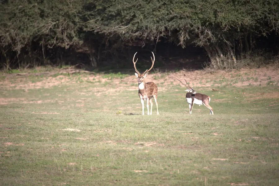 TBD County Road 412, Lexington, TX 78947 - #3