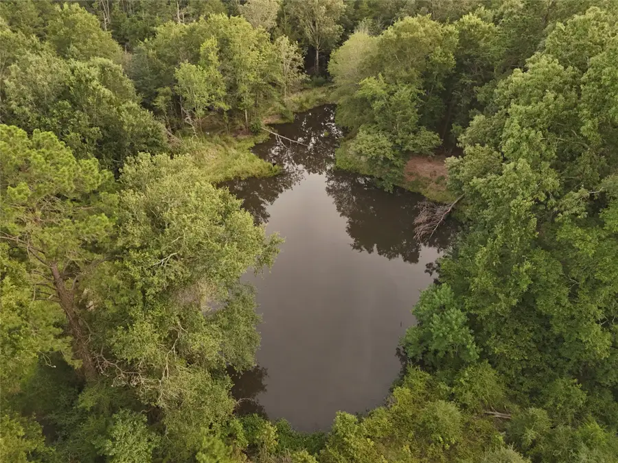 9695 County Rd 3555, Lovelady, TX 75851 - #3