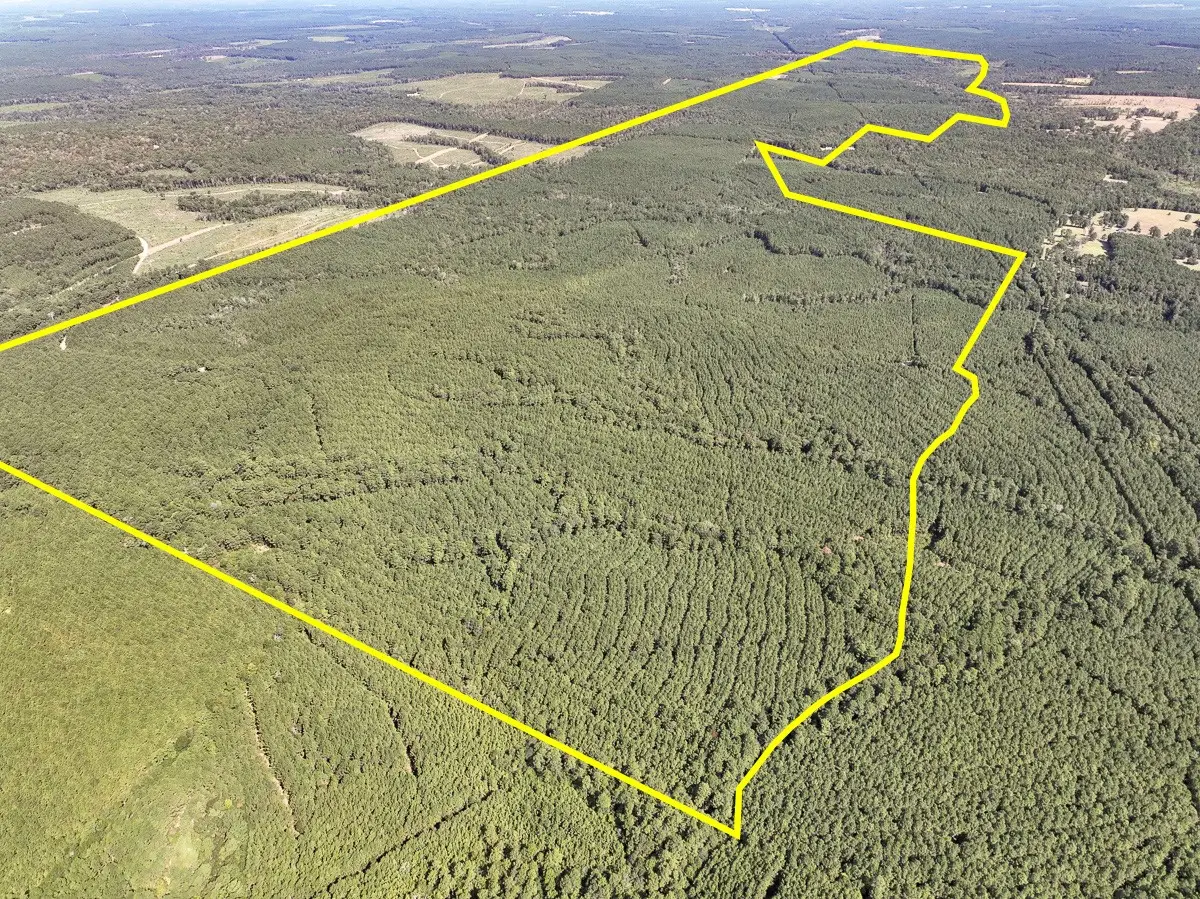 T-2 Cr 2150, Woodville, TX 75979 - #1
