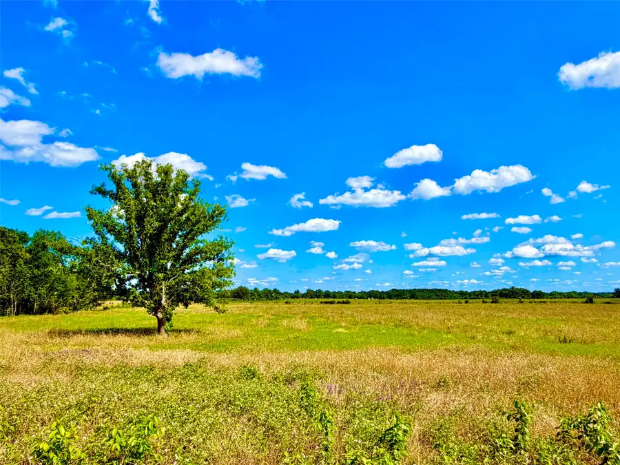 TBD Cooper Settlement Road, Crockett, TX 75835 - #2