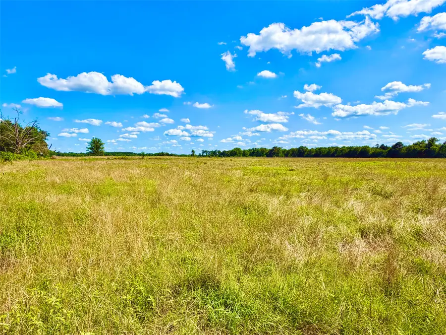 TBD Cooper Settlement Road, Crockett, TX 75835 - #3