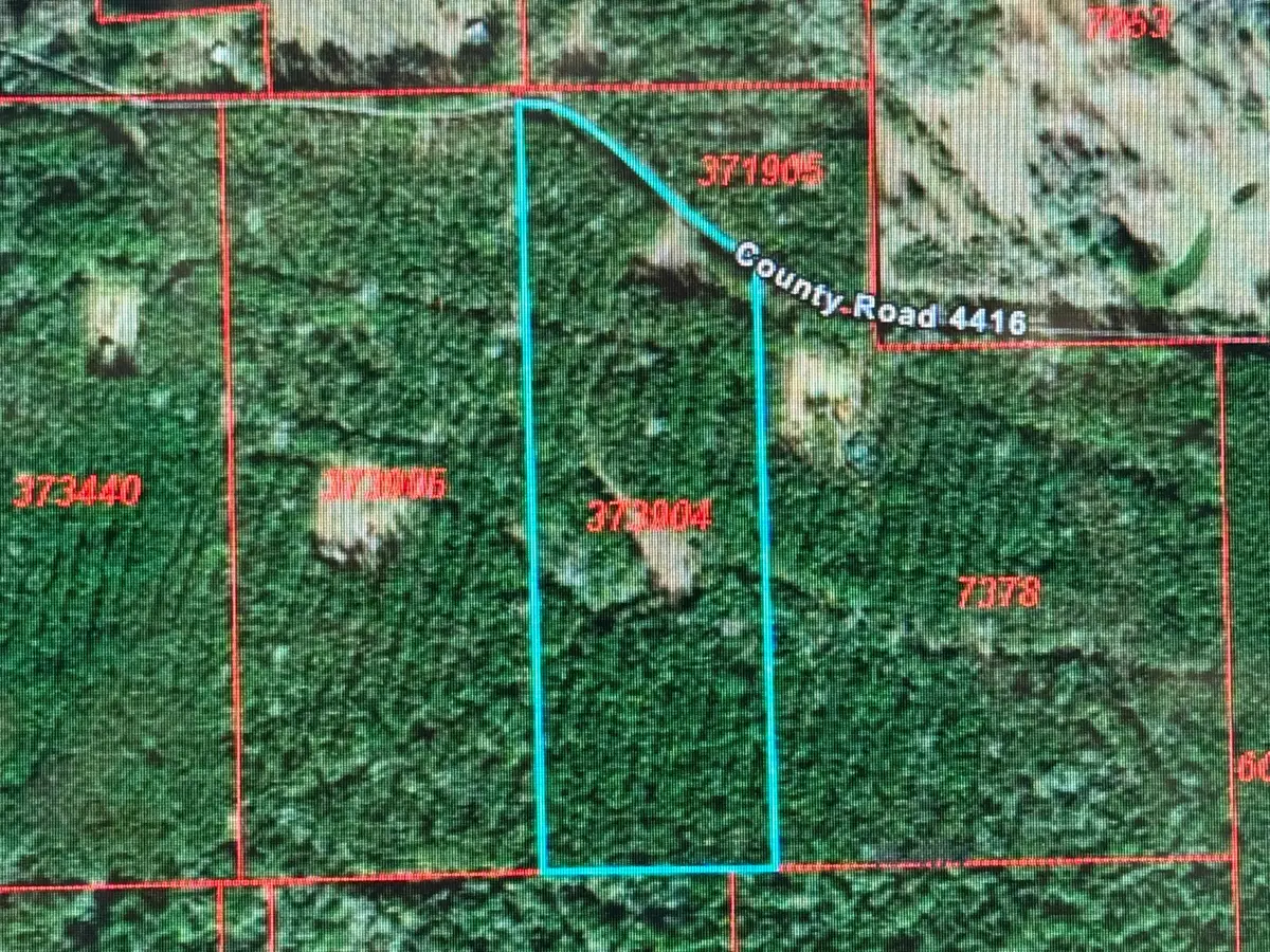 795 County Road 4416, Spurger, TX 75979 - Image #1