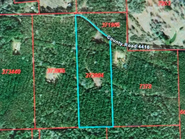 795 County Road 4416, Spurger, TX 75979