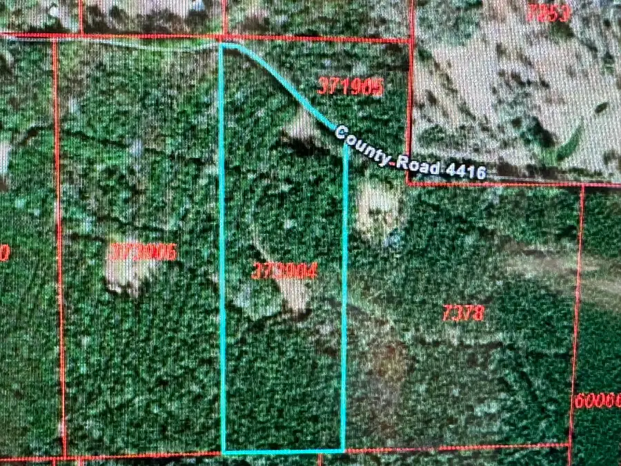 795 County Road 4416, Spurger, TX 75979 - Image #2