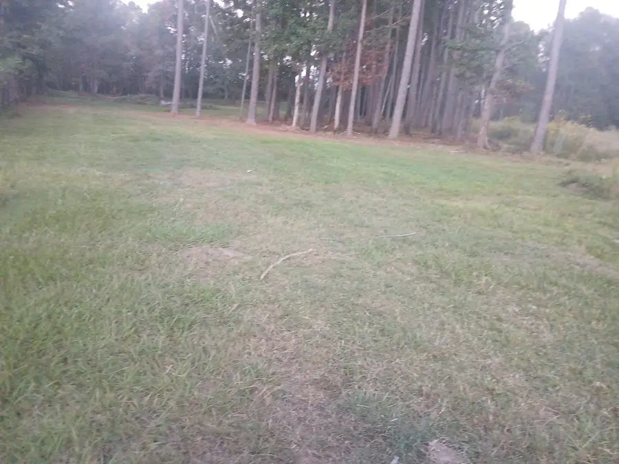 1359 County Road 3479j, Cleveland, TX 77327 - Image #3