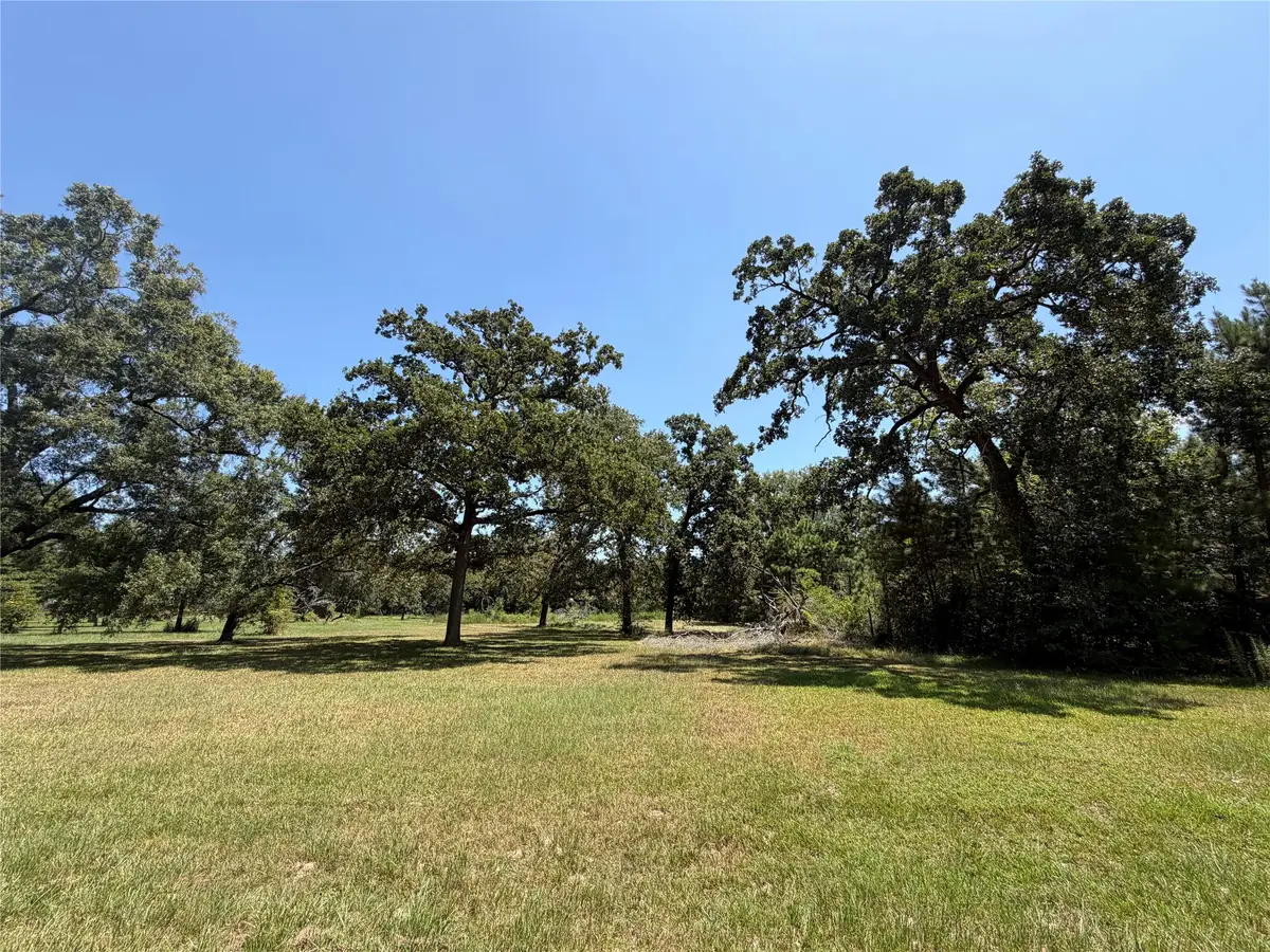 0000 Vale Lane, Porter, TX 77365 - #1