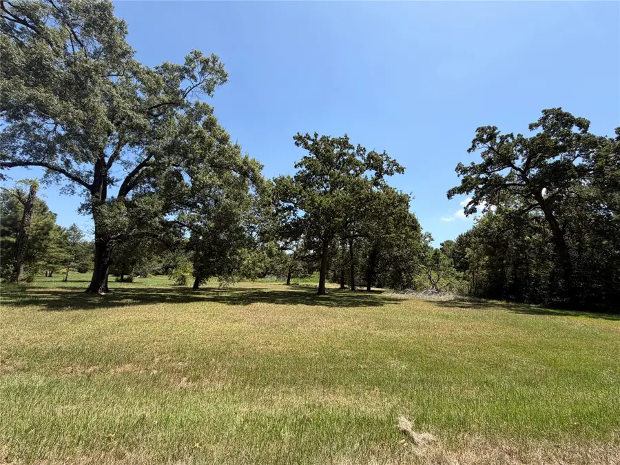 0000 Vale Lane, Porter, TX 77365 - #3