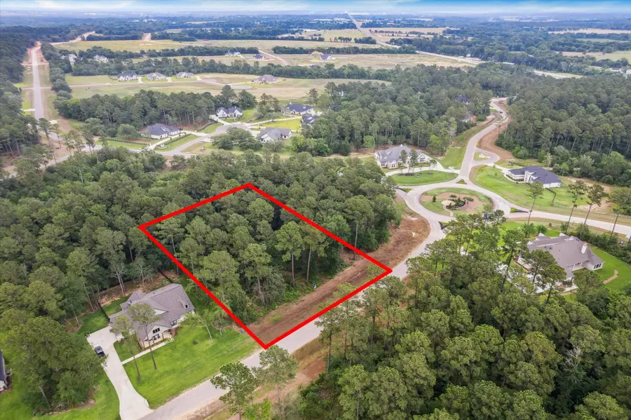 8713 Cedar Meadow Lane, Plantersville, TX 77363 - #2