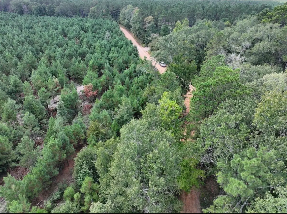 001 Bracewell Cemetery Road, Livingston, TX 77351 - #1