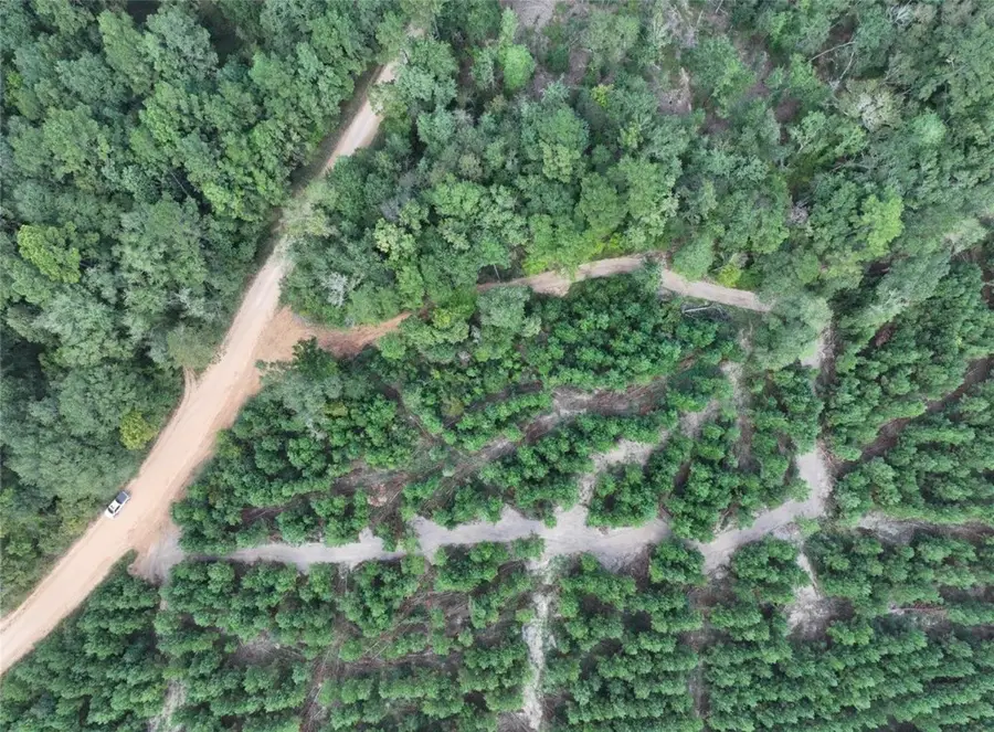 001 Bracewell Cemetery Road, Livingston, TX 77351 - #3