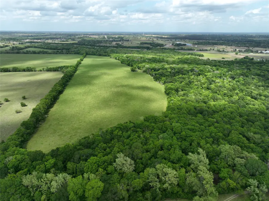 10463 Highway 36, Bellville, TX 77418 - #3