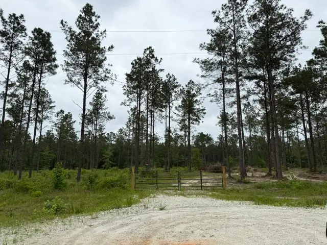 00 Richardson Road E, Livingston, TX 77351 - #1