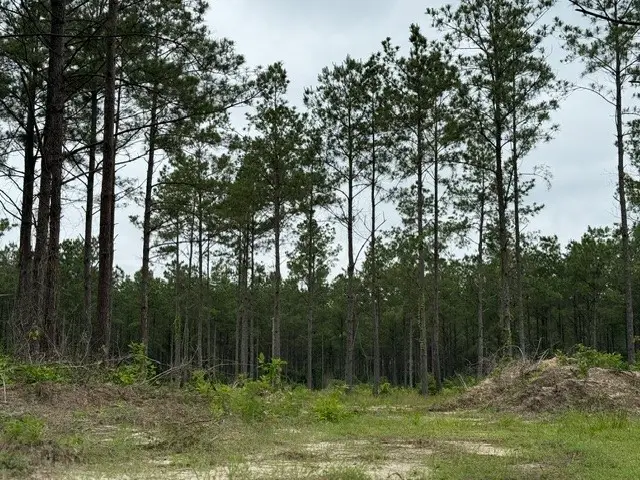 00 Richardson Road E, Livingston, TX 77351 - #3