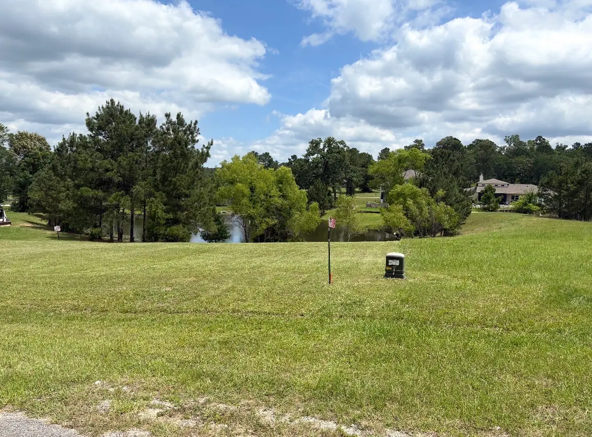 17 Silver Lakes Drive, Huntsville, TX 77340 - #1