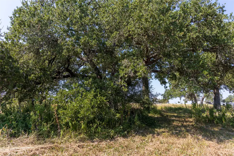 9487 Bauer Road, Fayetteville, TX 78940 - #2