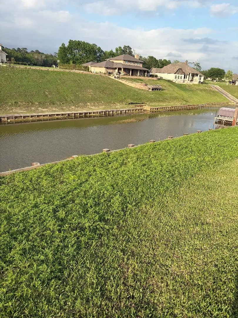 18831 Serene Water, Montgomery, TX 77356 - #1