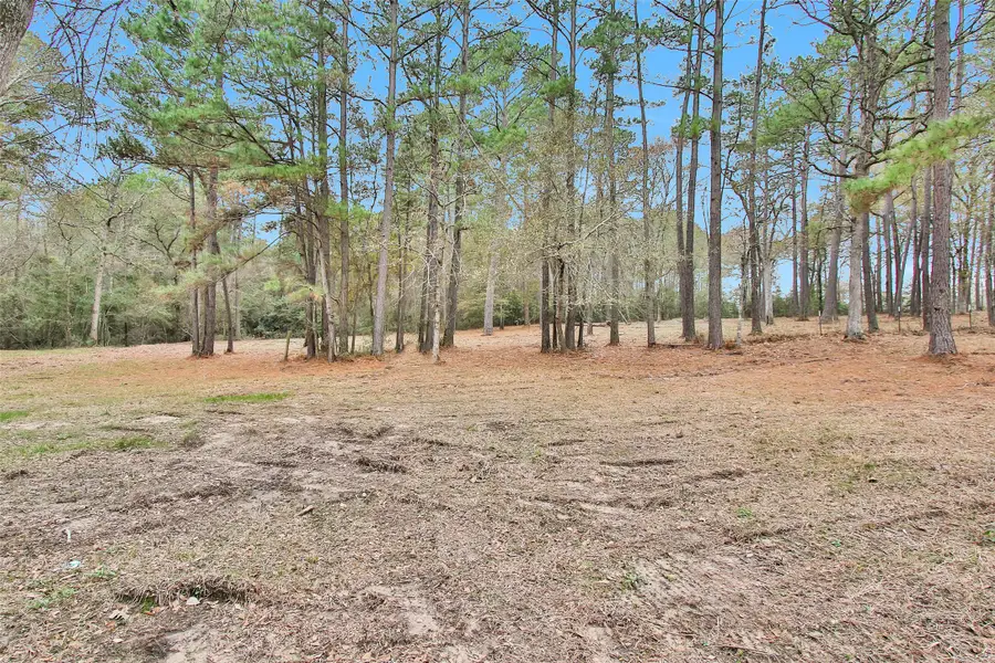 Split A Tall Pine Road, Navasota, TX 77868 - #2