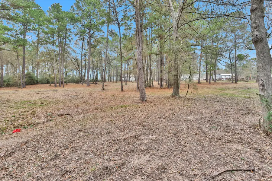 Split A Tall Pine Road, Navasota, TX 77868 - #3