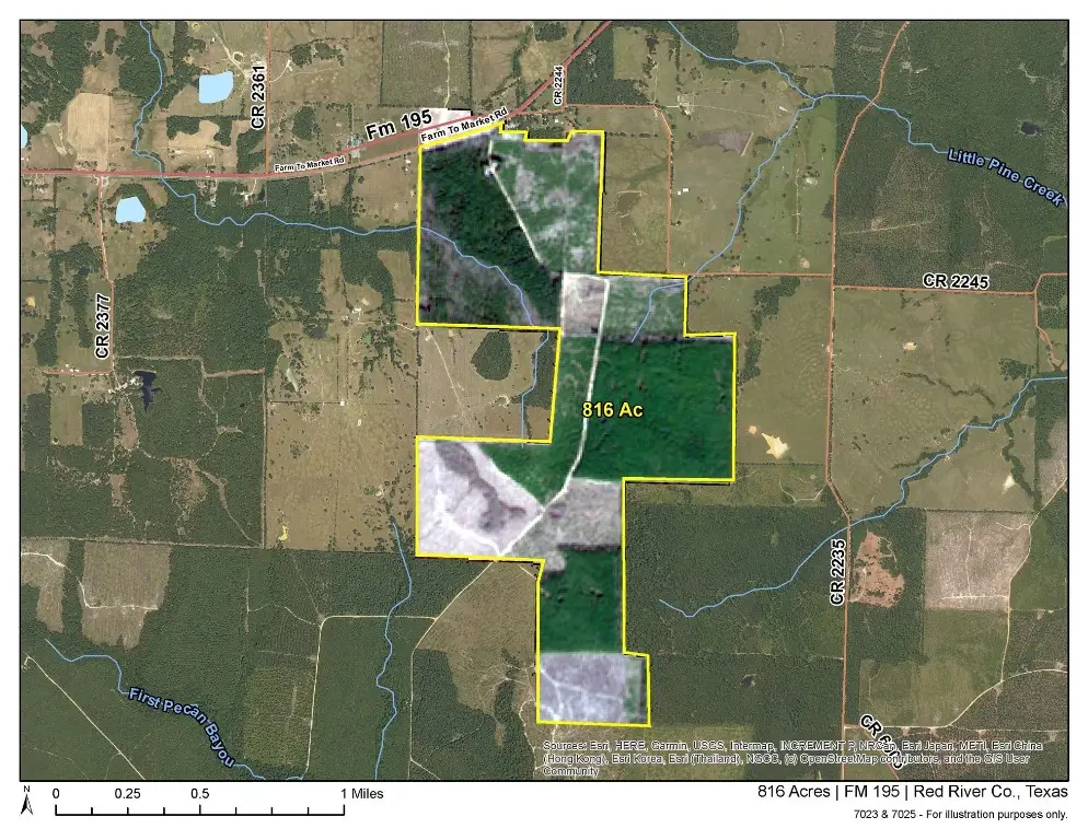 0 Fm 195, Bagwell, TX 75412 - #1