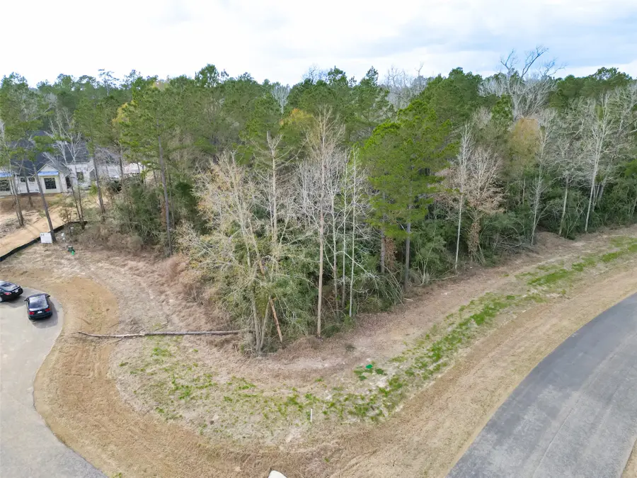 4908 Sierra Blanca Court, Montgomery, TX 77316 - #2