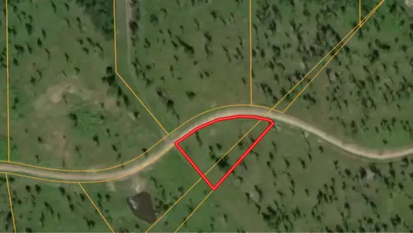 Lot 13 Eagle Falls Boulevard, Trinity, TX 75862