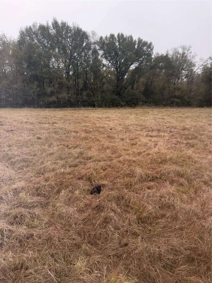 NA County Road 386, Marquez, TX 77865 - Image #2