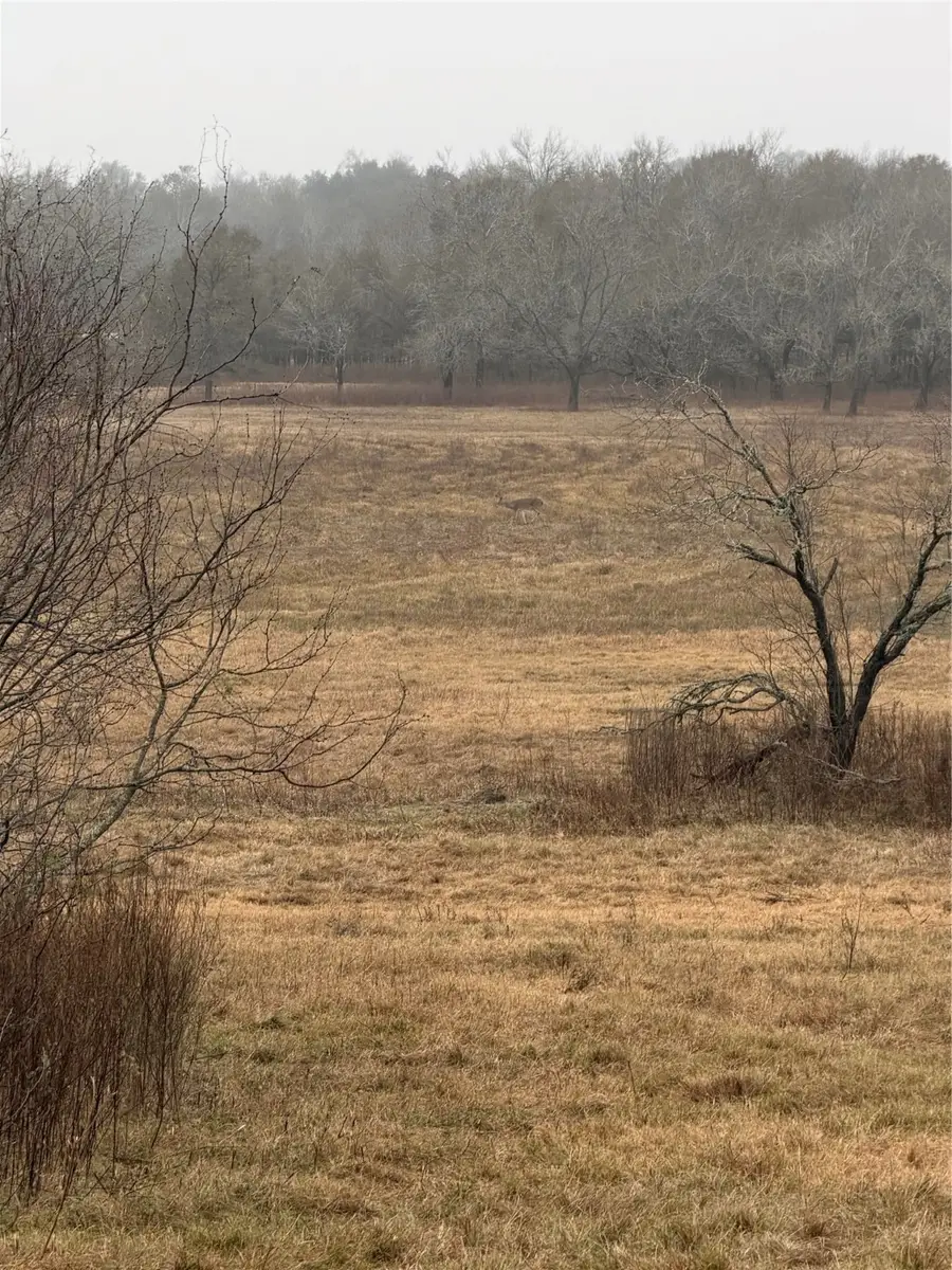 NA County Road 386, Marquez, TX 77865 - Image #3
