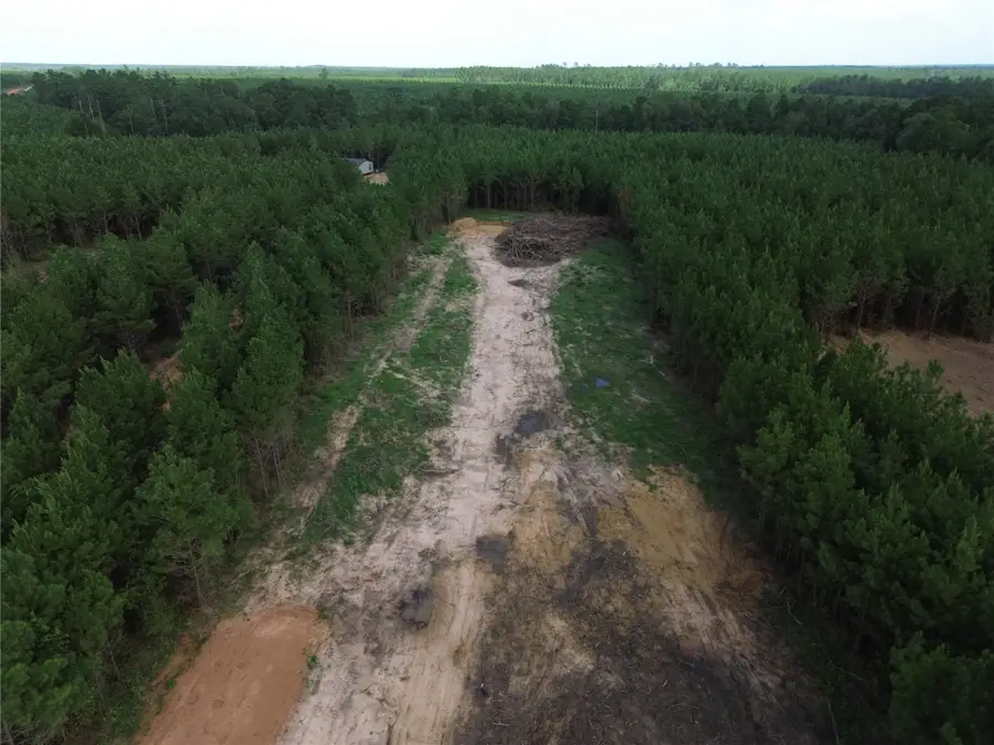 345 Duff Road, Livingston, TX 77351 - #3