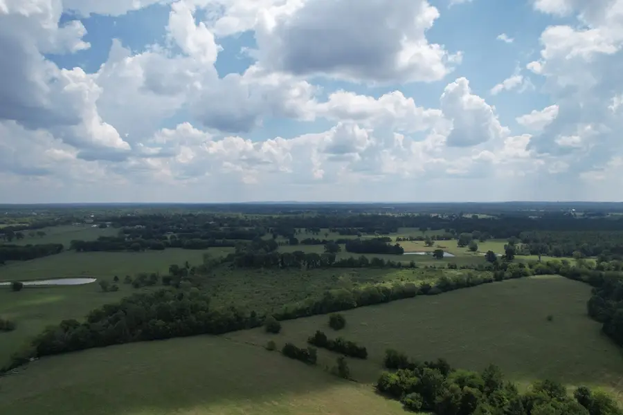 TBD W Fm 1662, Laneville, TX 75667 - #2