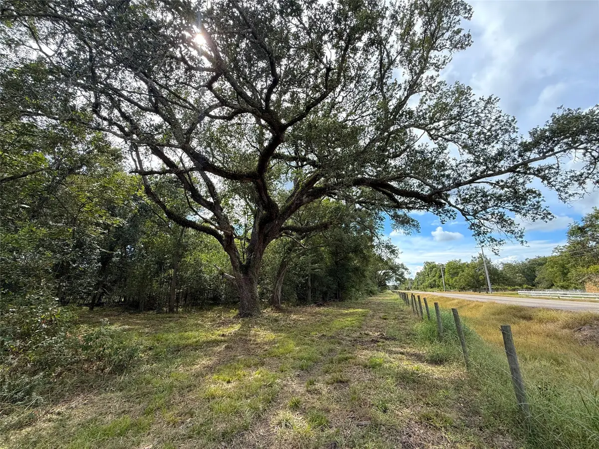 0 County Road 28, Angleton, TX 77515 - #1