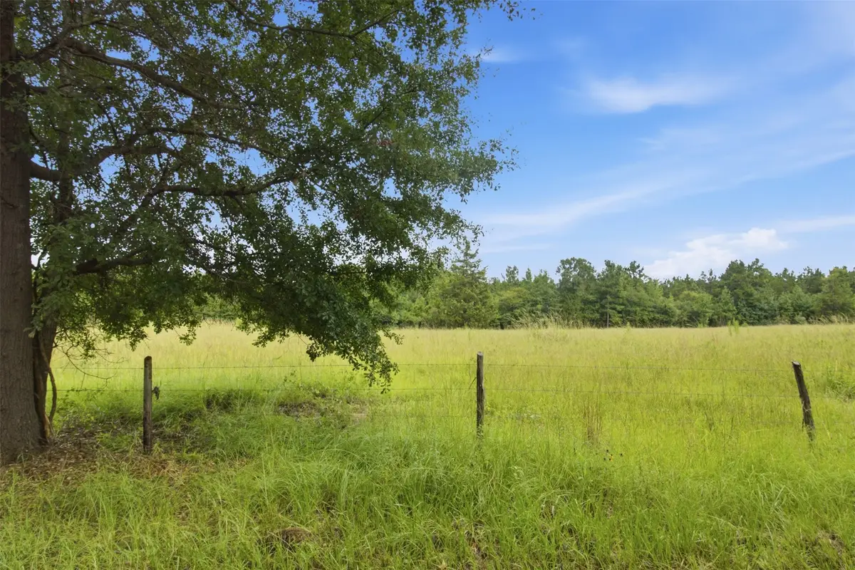 115355 & 115353 County Road 2501, Alto, TX 75925 - #1